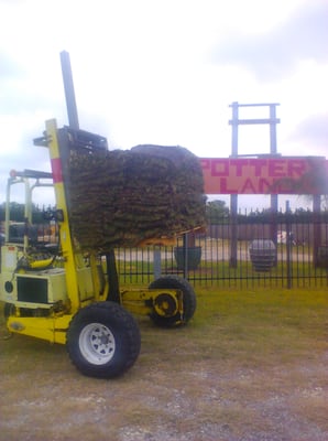 Turf-grasses for sale, we deliver to your home or job site. call us now 512-902-9170