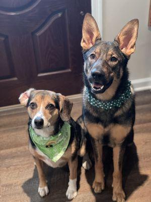 Princess and Mazikeen all Clean