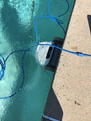 Pool city fixed my vacuum timely