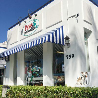 Steps for the Naples City Dock, find unique goods for dogs, cats & you at Paws pet boutique!