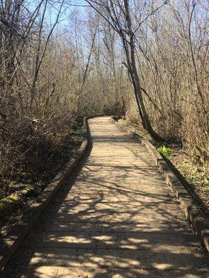 Trail at Mercer Slough Nature Park