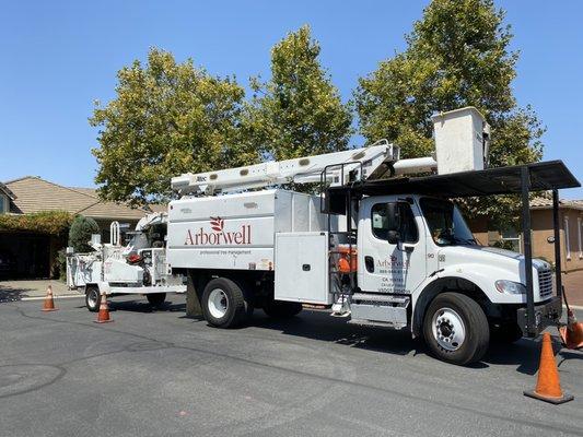 Roseville, Ca - tree trimmer and Arborwell work truck