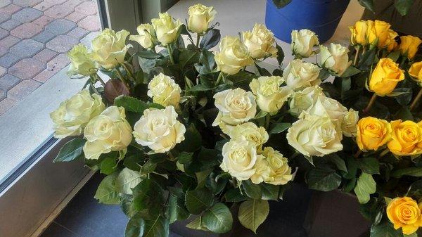 Just In !!! Mondeal Roses directly from Ecuador, call us and order yours