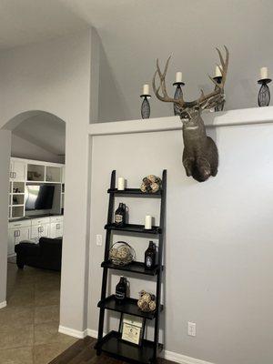 Deer mount