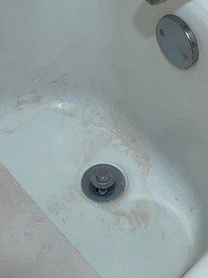 mold in the bath tub