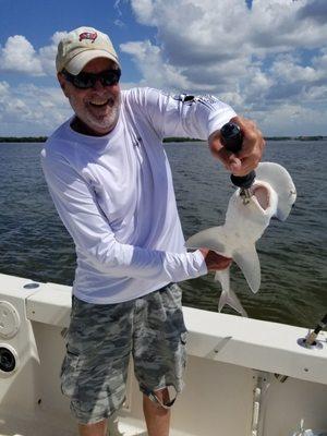 Bonnet head shark