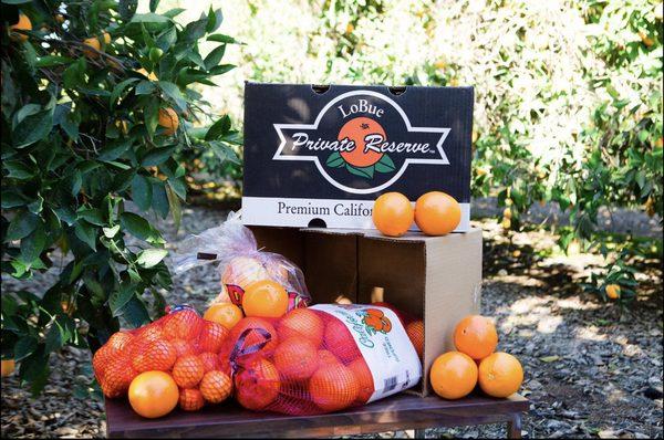 Mixed Fruit Box with California Navel Oranges, Grapefruit and Clementines