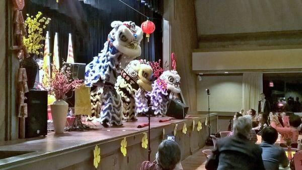 Viet New Year celebration!