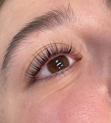 Lash Lift & Tint