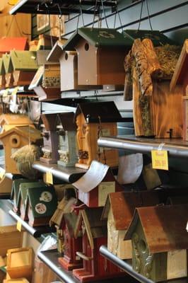 The best birdhouse selection in town!