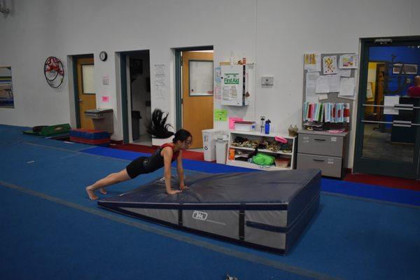 Flyaways Gymnastics