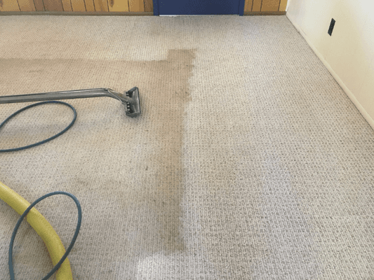 Carpet Stain Removal