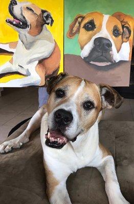 Our dog loves his portraits! Thank you Amy and Dayna!