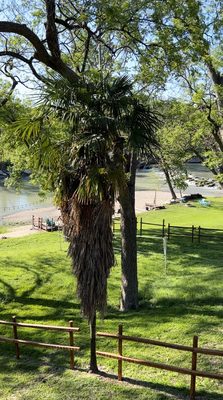 Scenic view off back deck.