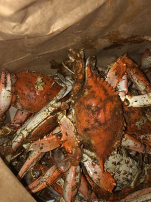 Crab Depot