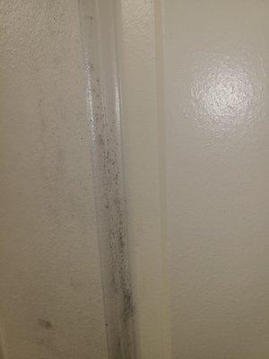 Mildew on door bathroom door