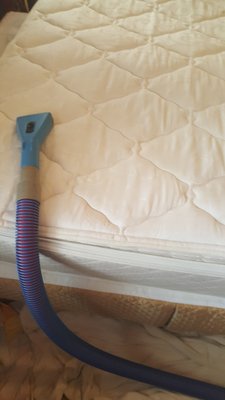 Mattresses cleaning to remove skin cells, dust mites & dander!