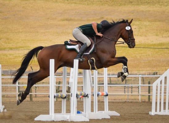 Jumper schooling show