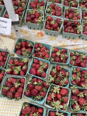 Fresh strawberries