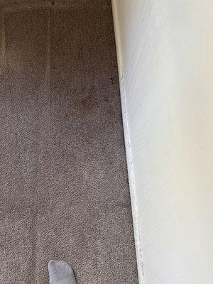 This is the stain after the carpets were cleaned and dried.