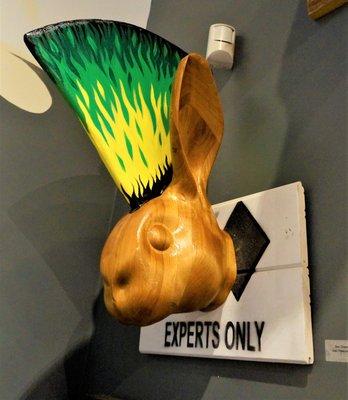 Experts only by Ben Chesney / John Benko