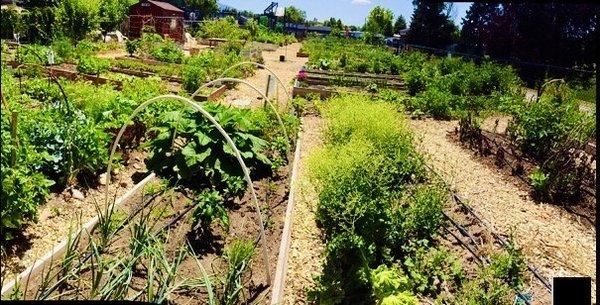 More that she left out, the community gardens that the HOA has as well as the protected RV and boat parking area.