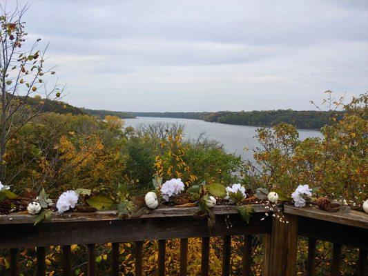 Carpenter Nature Center