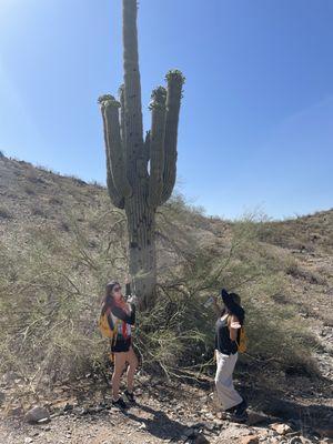 Desert hike tour