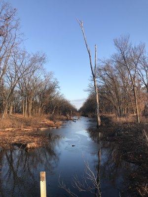 Gibson Woods Nature Preserve