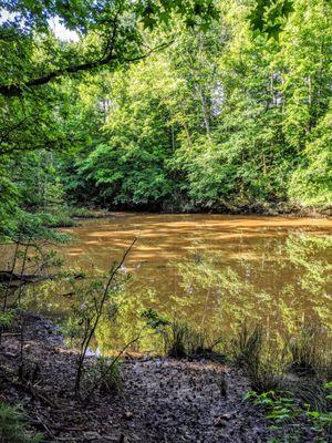 Carolina Thread Trail