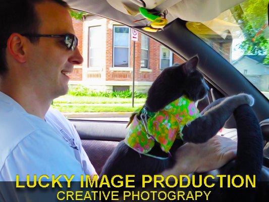 Lucky Image Production-Creative Photography Take your cat for a driving lesson!