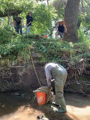 Arcade Creek Clean up - May 2023