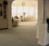 carpet cleaning