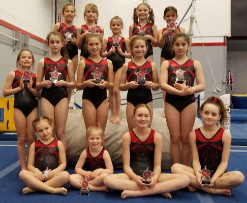 Impact Gymnastics Academy