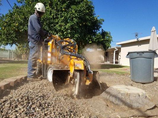 Stump grinding-

Grinding out a large citrus stump in Surprise, AZ.