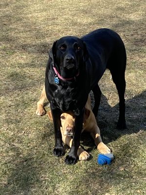 Taking a break from training