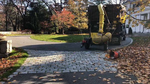 Leaf removal vacuum