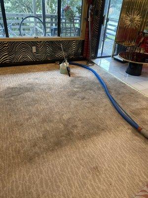 Julio carpet & tile cleaning