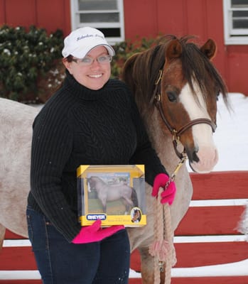 Top Notch Equestrian Centre