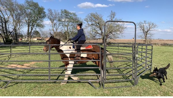 Round pen