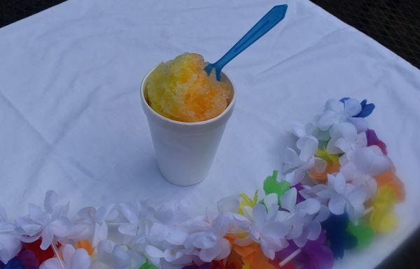 The Swirly Turtle Hawaiian Shave Ice