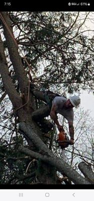 Southern Lawn And Tree Maintenance