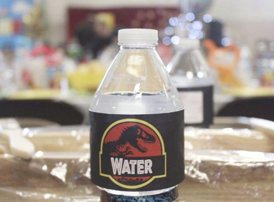 Jurassic Jungle Water Bottle Label