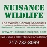 Nuisance Wildlife