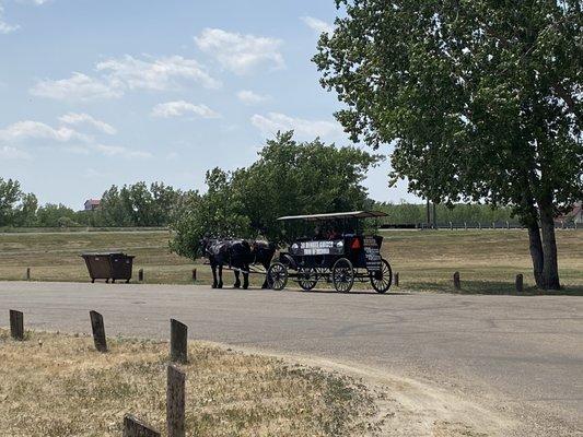 Carriage tours of Medora.