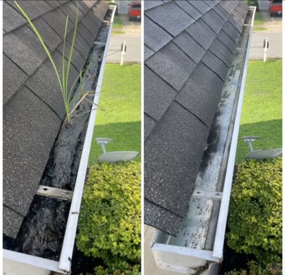 New Again Gutter Blowout And Roof Debris Service