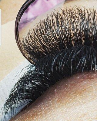 Volume Lashes