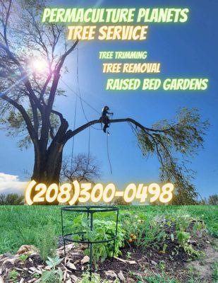 Building raised bed gardens out of trees is a great way to save money with the tree service and on growing your own garden!