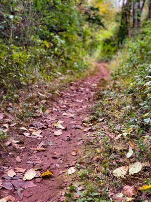 Typical trail.