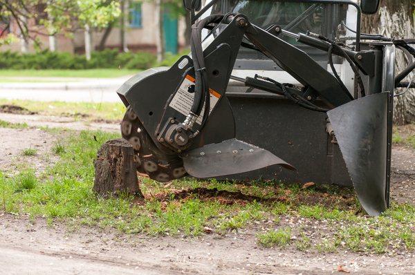 When Turners Tree Service performs tree removal services, our customers are left with an unsightly stump...